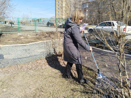 Городской субботник Городской субботник.